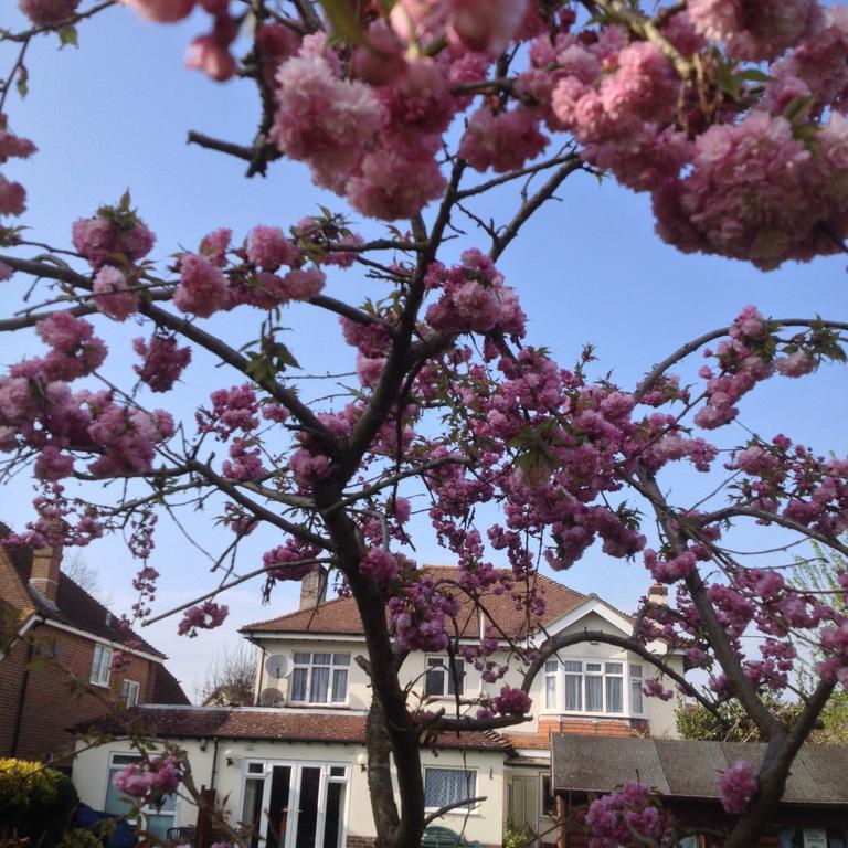 La B&B Chichester Oda fotoğraf